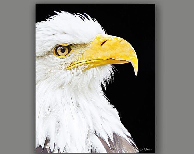 Bald Eagle Fine Art Wildlife Print by artist Lynn A. Marie