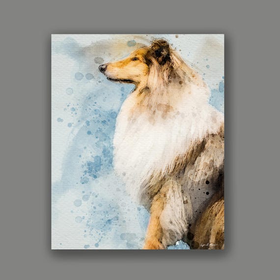Rough Collie Art Print: Archival Giclee, Dog Portrait, By Artist Lynn A. Marie