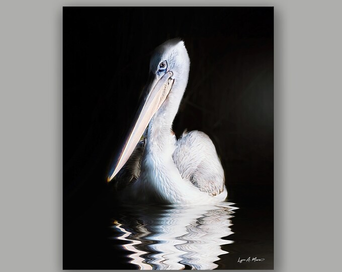 White Pelican Fine Art Wildlife Print by artist Lynn A. Marie