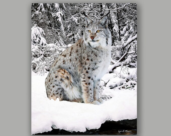 Siberian Lynx Fine Art Wildlife Print by Artist Lynn A. Marie