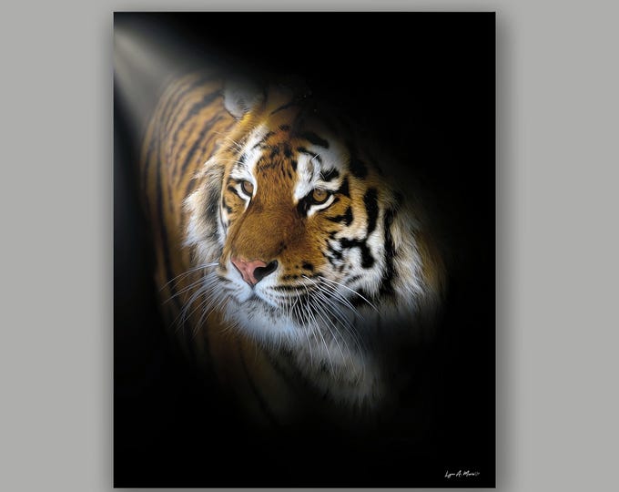 Siberian Tiger Fine Art Wildlife Print By Artist Lynn A. Marie