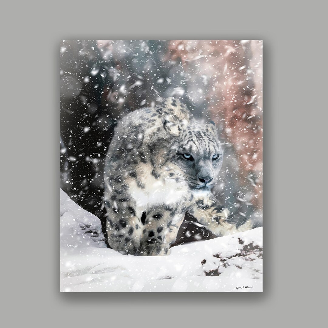 Snow Leopard Wildlife Fine Art Print by Lynn A. Marie - Etsy