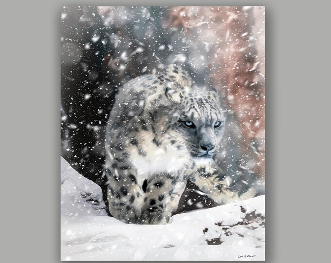 Snow Leopard Wildlife Fine Art Print by Lynn A. Marie