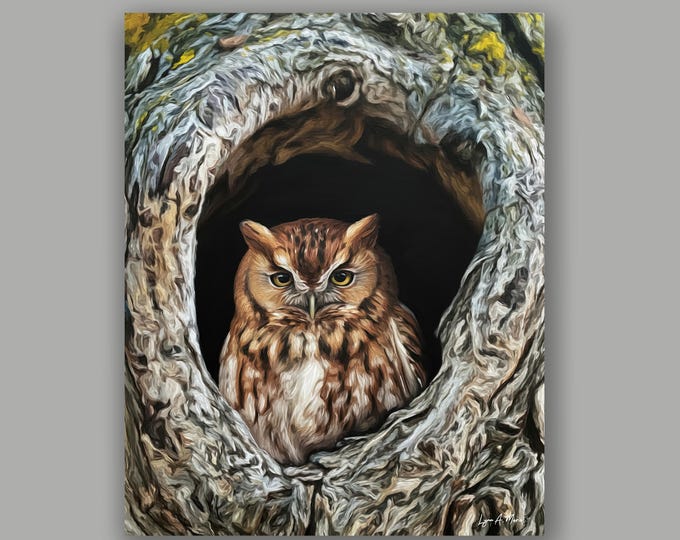 Owl Fine Art Wildlife Bird Print by Artist Lynn A. Marie