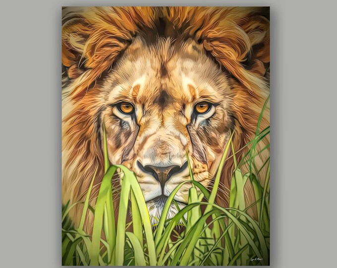 African Lion Fine Art Wildlife Print By Artist Lynn A. Marie