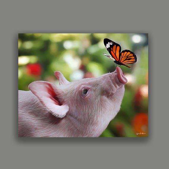 Piglet Photo Print: Farm Animal Art, Archival Paper, By Artist Lynn A. Marie