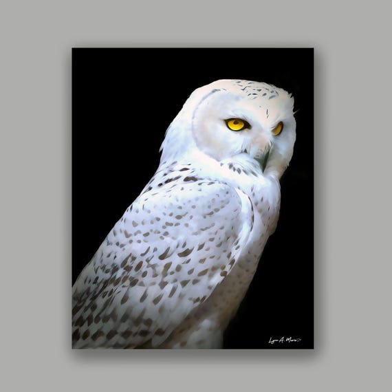 Snowy Owl Giclée Fine Art Print: Archival Quality, Artist Lynn A. Marie