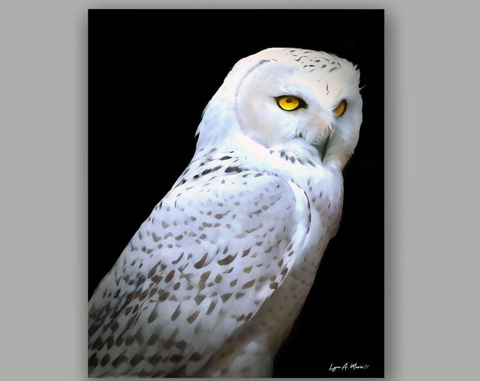 Snowy Owl Wildlife Fine Art Print By Artist Lynn A. Marie