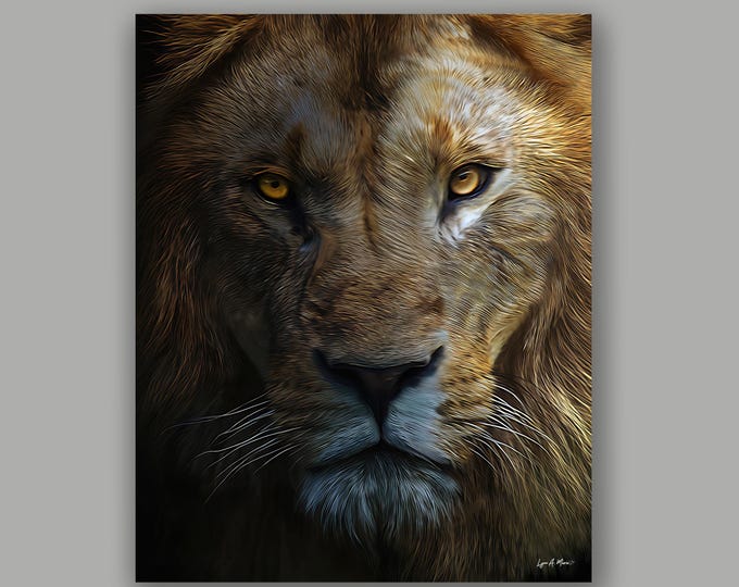 Male Lion Fine Art Wildlife Print By Artist Lynn A. Marie Artist