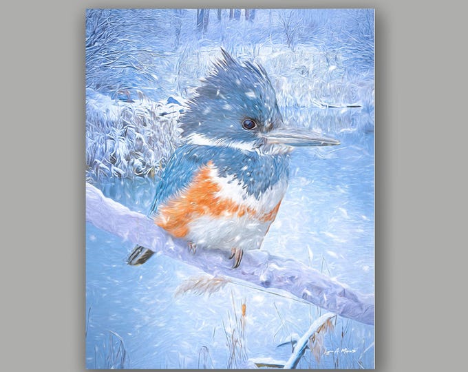 Kingfisher Bird Fine Art Wildlife Print By Artist Lynn A. Marie