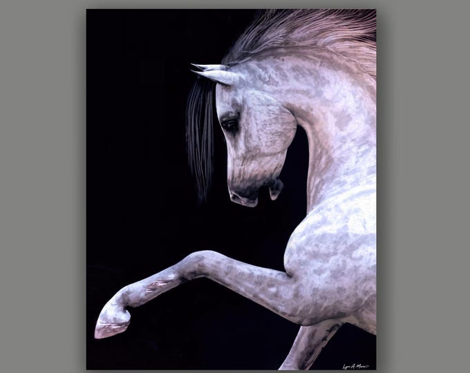Arabian Horse Fine Art Print By Artist Lynn A. Marie