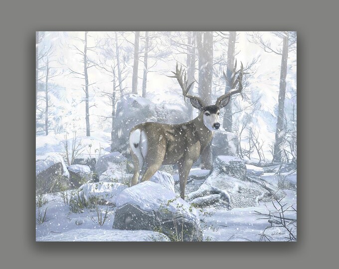 Mule deer Fine Art Wildlife Print By Artist Lynn A. Marie