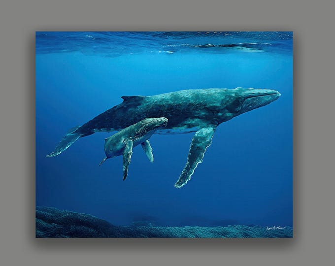 Humpback Whale Fine Art Print By Artist Lynn A. Marie