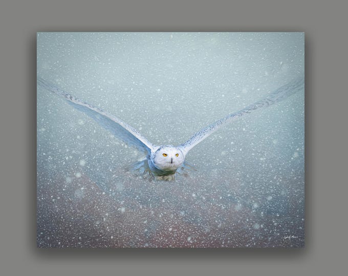 Snowy Owl Wildlife Fine Art Print by Artist Lynn A. Marie