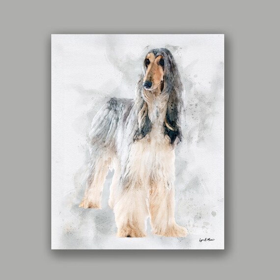 Afghan Hound Dog Art Print: Archival Giclee, Lynn A. Marie