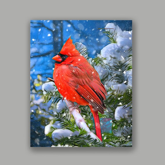 Cardinal Bird Art Print: Archival Giclee, Lynn A. Marie
