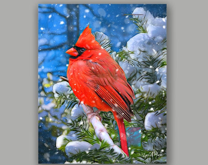 Cardinal Bird Fine Art Print By Artist Lynn A. Marie