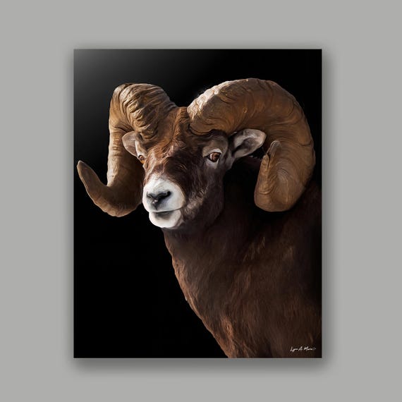 Bighorn Sheep Art Print: Archival Giclee, Wildlife Art by Lynn A. Marie