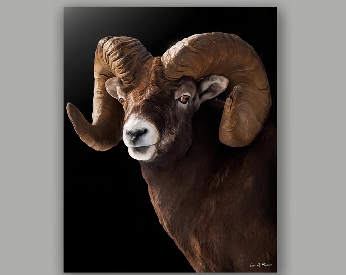 Bighorn Sheep Fine Art Wildlife Print By Artist Lynn A. Marie