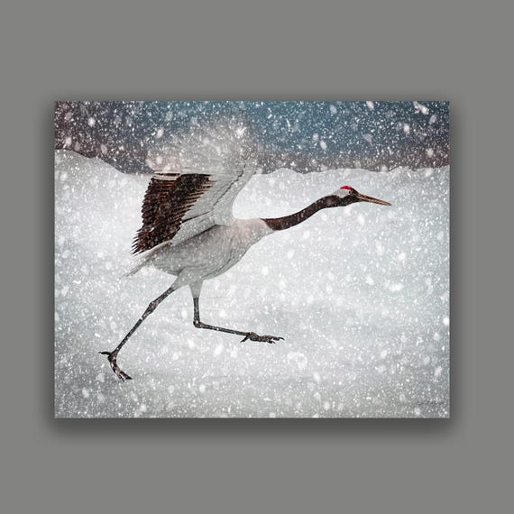 Red Crowned Crane Art Print: Archival Giclee Paper, Lynn A. Marie