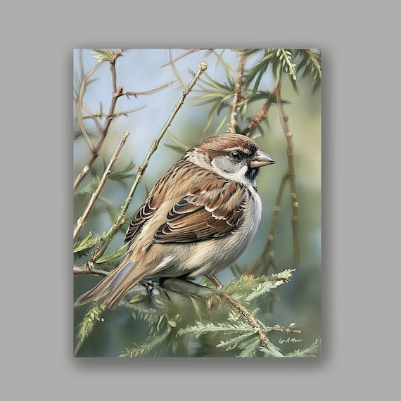 House Sparrow Fine Art Print by Artist Lynn A. Marie Wildlife Bird Art
