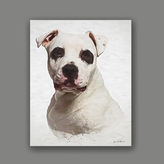 American Bulldog Art Print: Archival Giclee, Dog Portrait, By Artist Lynn A. Marie