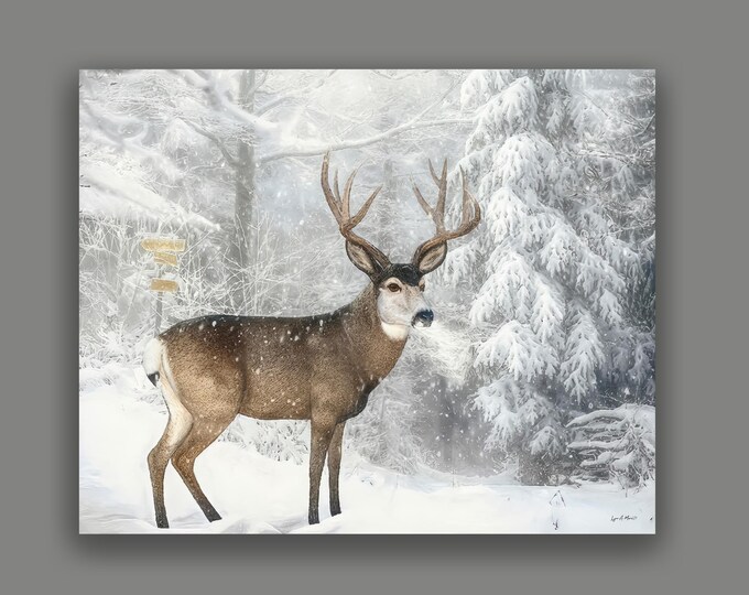 Mule Deer Fine Art Wildlife Print By Artist Lynn A. Marie