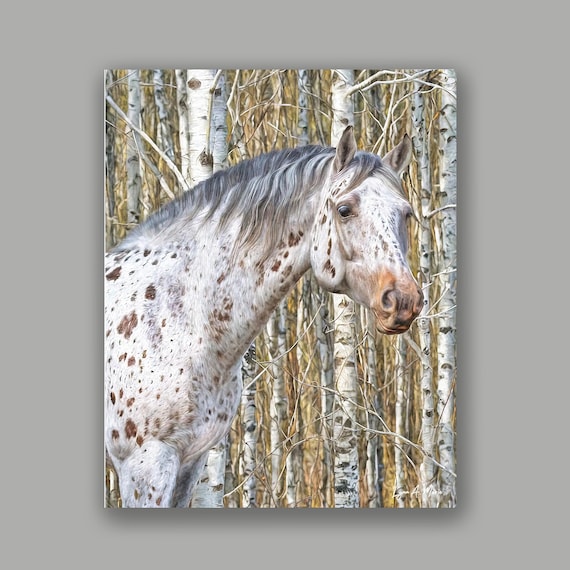 Appaloosa Equine Art By Artist Lynn A. Marie