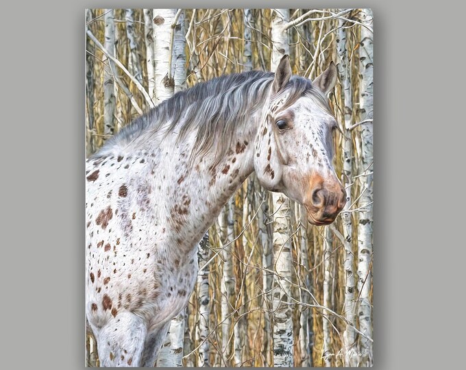 Appaloosa Equine Fine Art By Artist Lynn A. Marie