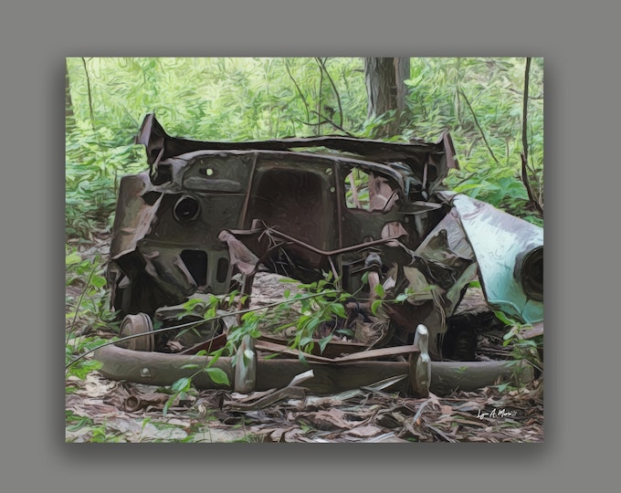 Old Forgotten Car Fine Art Print By Artist Lynn A. Marie