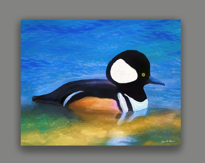 Hooded Merganser Duck Fine Art Wildlife Print By Artist Lynn A. Marie