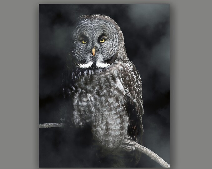 Great Grey Owl Fine Art Wildlife Print By Artist Lynn A. Marie