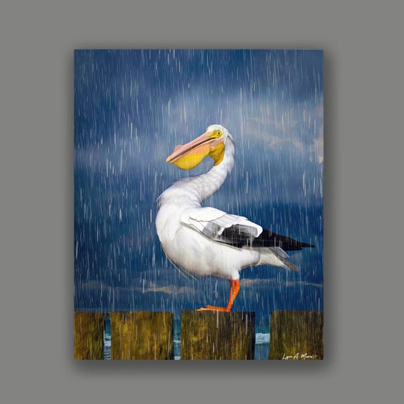 Pelican Bird Art Print: Archival Giclée Print, Lynn A. Marie