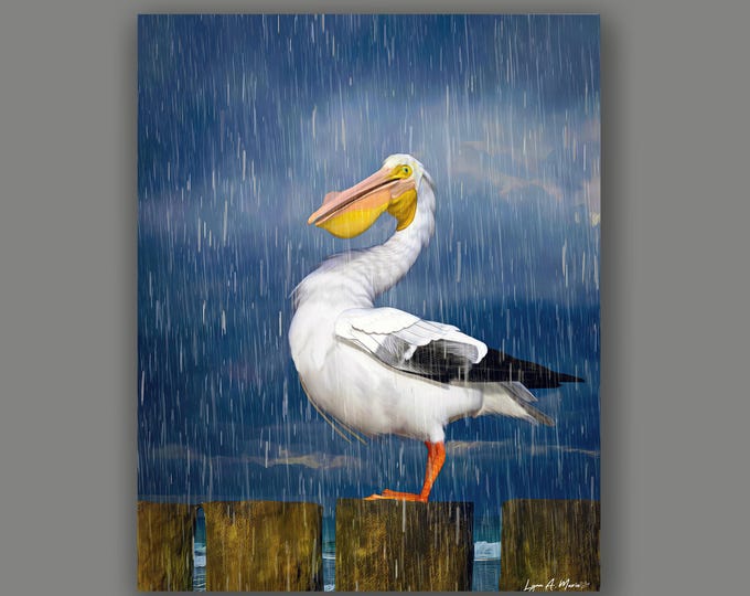 Pelican Bird Fine Art Wildlife Print By Artist Lynn A. Marie