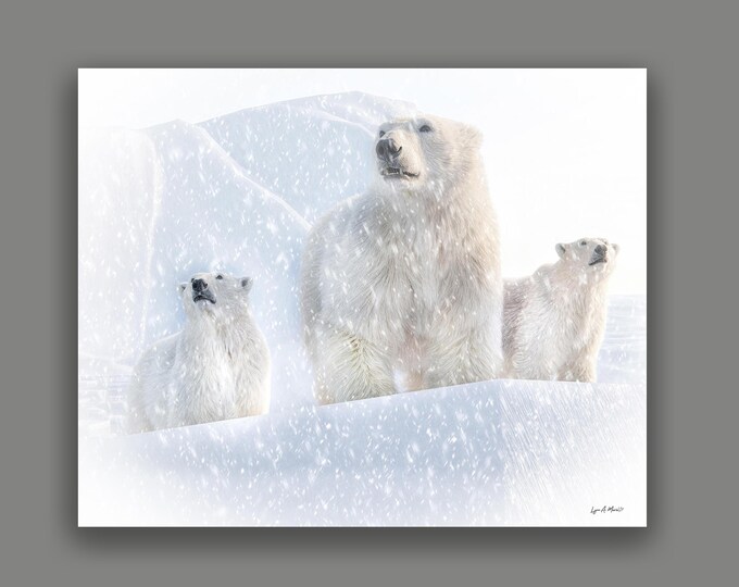 Polar Bear Fine Art Wildlife Print By Artist Lynn A. Marie