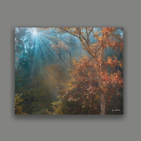Foggy Morning Landscape Art Print: Giclee print by Artist Lynn A. Marie