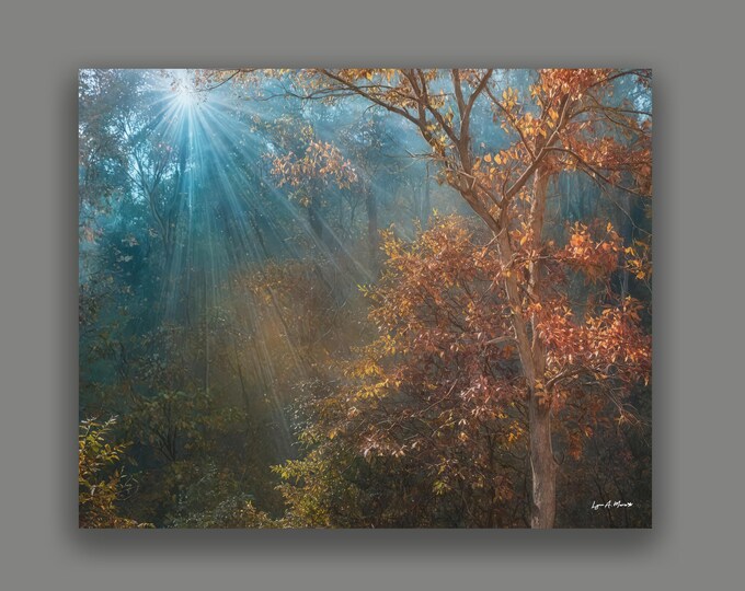 Foggy Morning Fine Art Landscape Print By Artist Lynn A. Marie