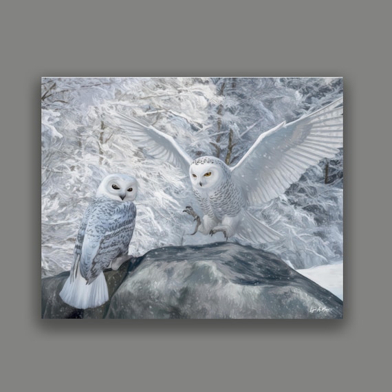 Snowy Owl Fine Art Print By Artist Lynn A. Marie