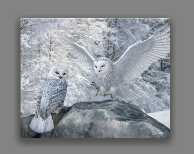 Snowy Owl Fine Art Print By Artist Lynn A. Marie