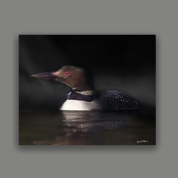 Loon Bird Art:  Giclee Print By Artist Lynn A. Marie