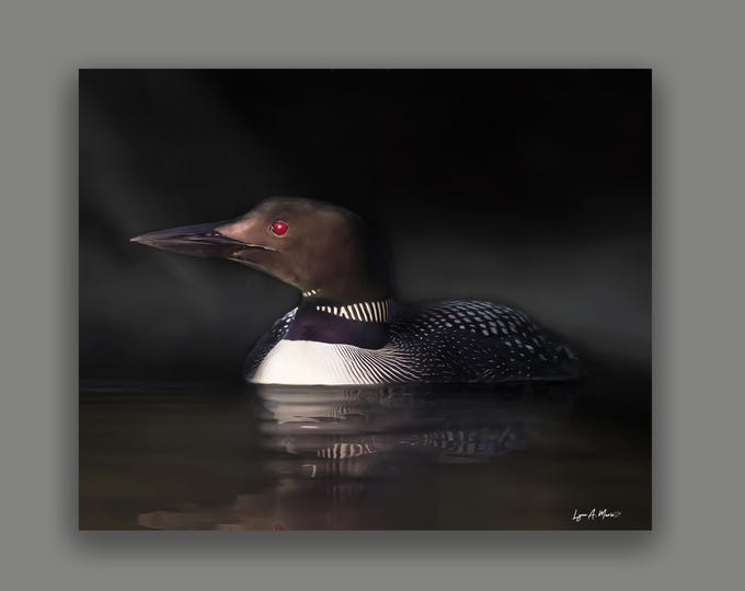 Loon Bird Fine Art Wildlife Print By Artist Lynn A. Marie