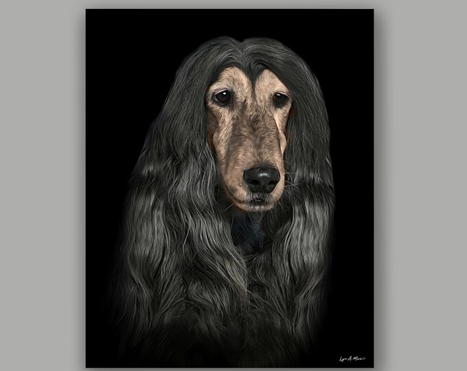 Afghan Hound Fine Art Pet Print By Artist Lynn A. Marie