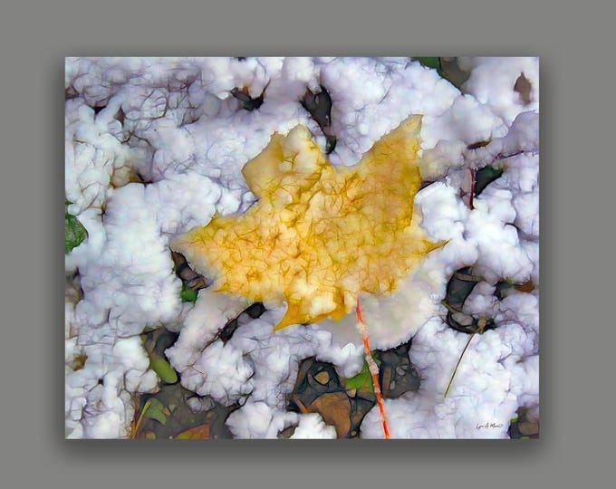 Last Signs of Fall Fine Art Print By Artist Lynn A. Marie