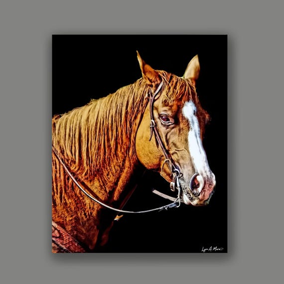 Quarter Horse Giclée Print: Equine Art on Archival Paper, By Artist Lynn A. Marie