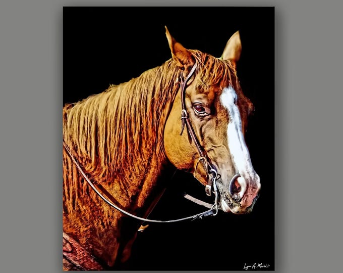 Quarter Horse Fine Art Print By Artist Lynn A. Marie