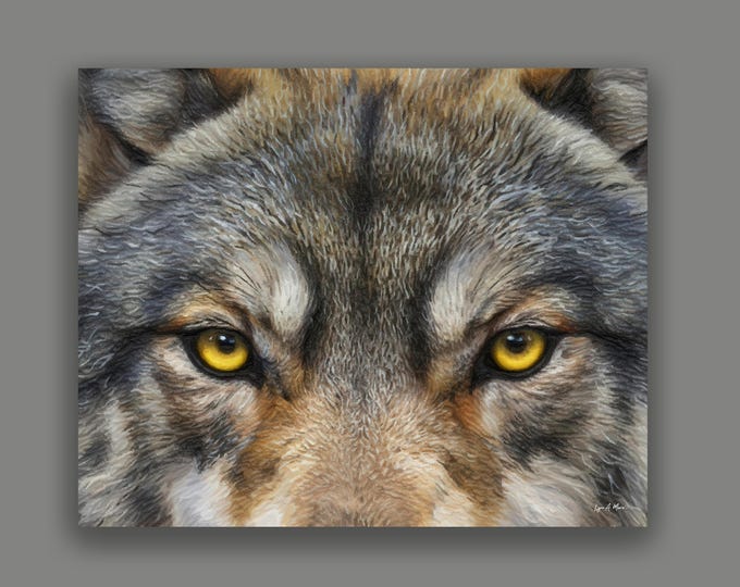 Timber Wolf Fine Art Print By Artist Lynn A. Marie