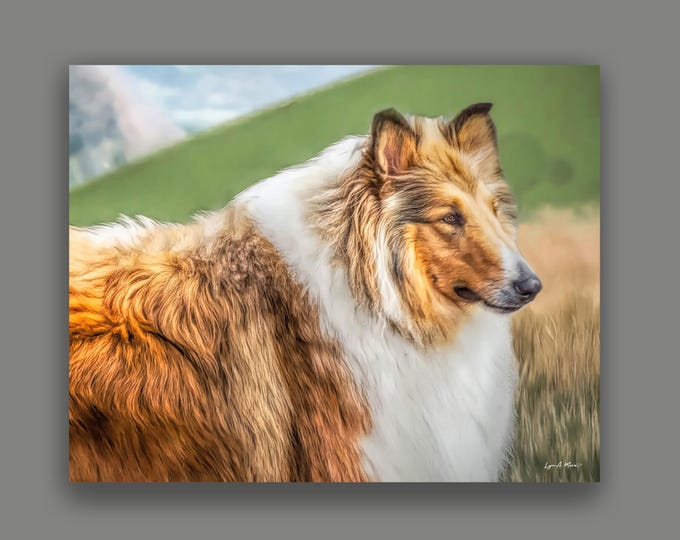 Rough Collie Fine Art Print By Artist Lynn A. Marie