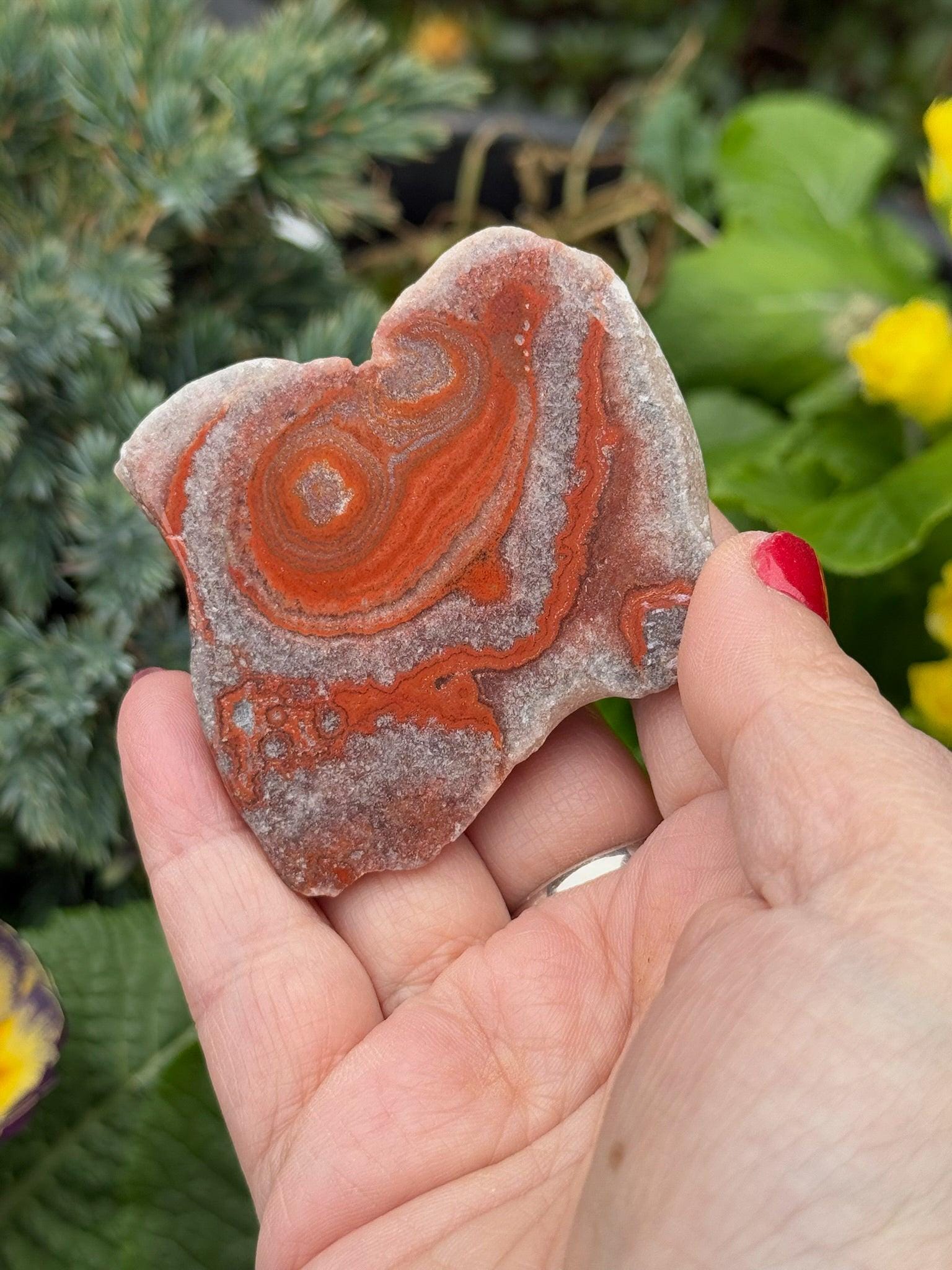 【コレクターズアイテム】ダルコートアゲート コレクターズアイテム】ダルコートアゲート