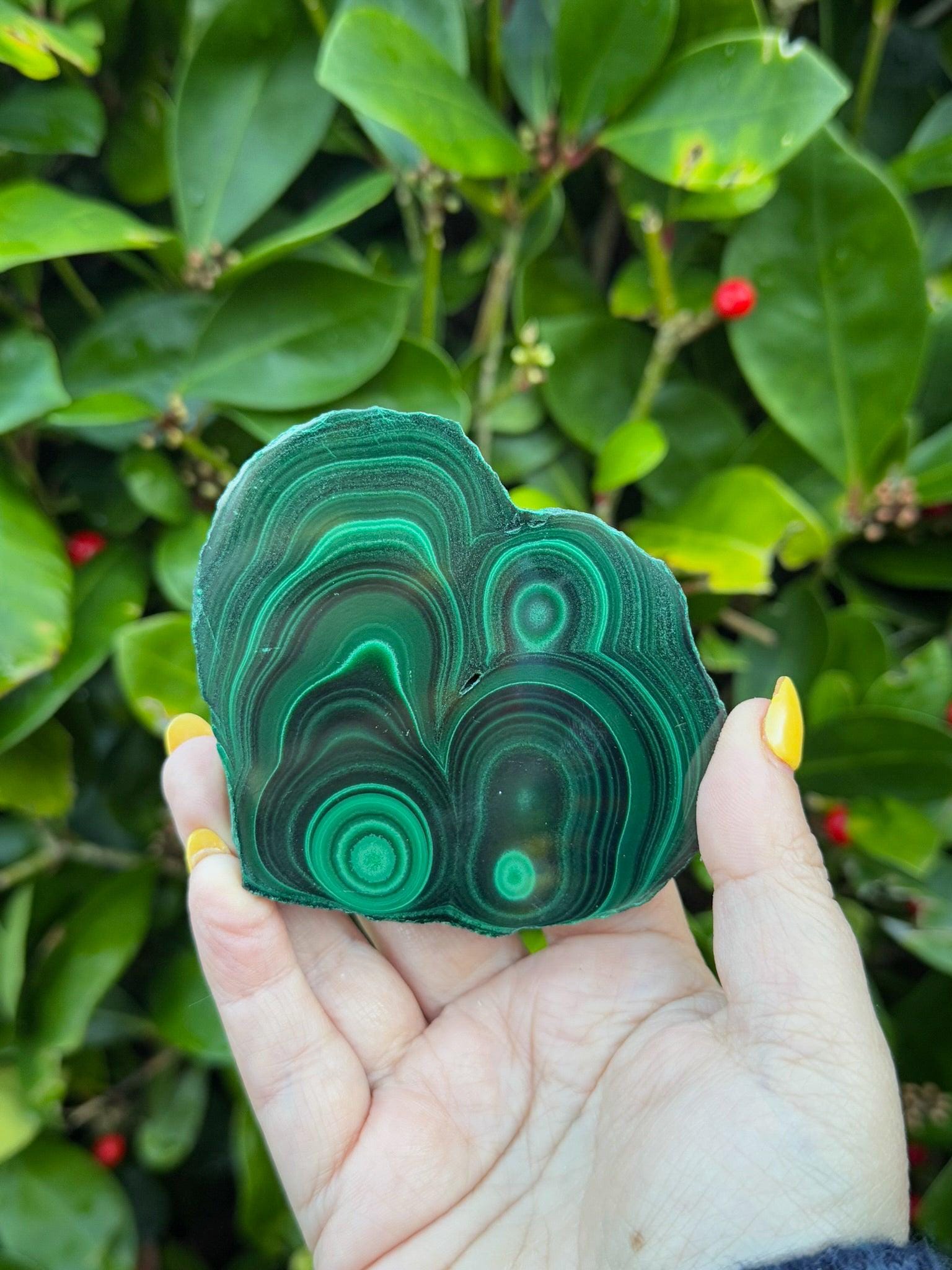 Polished Malachite Stalactite Specimen - Etsy
