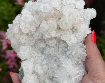 May include: A cluster of white, crystalline minerals with a textured surface. The mineral formation has a layered appearance, with small, hexagonal crystal formations. The background features blurred green and pink foliage.